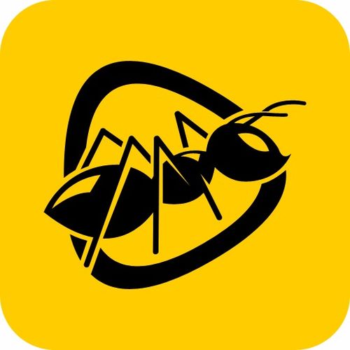 小鱼影视大全免费版下载安装 小鱼影视官方下载最新版本v3.1.24
