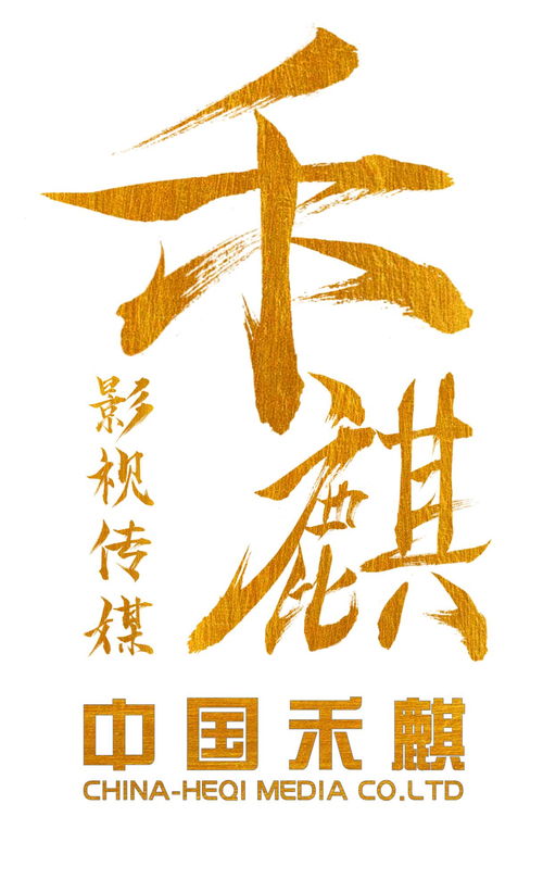 南京禾麒影视传媒